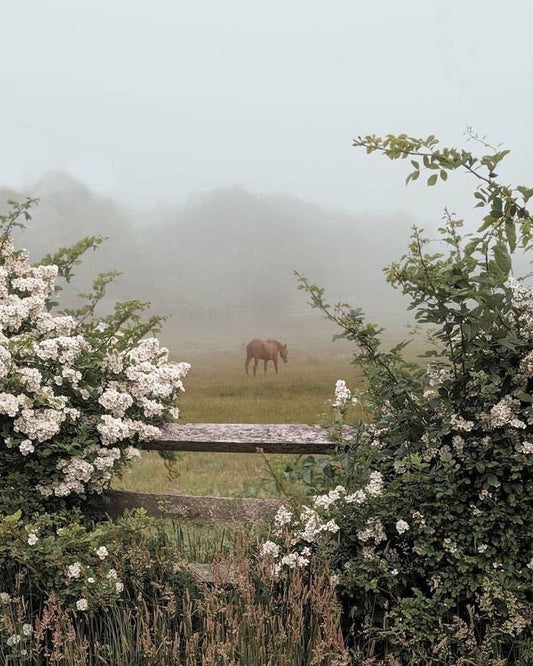 Boundaries and the Beauty of Slowness