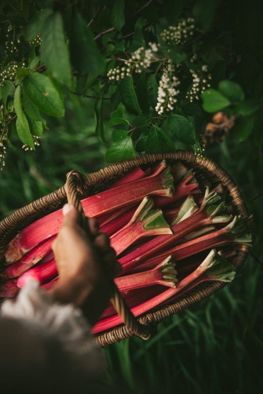 Tales of Rhubarb and Custard: A Quiet Goodbye