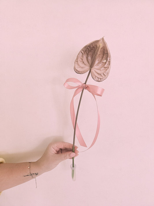 A Love Letter to Small Business Owners (From Someone Who Is Still Figuring It Out)