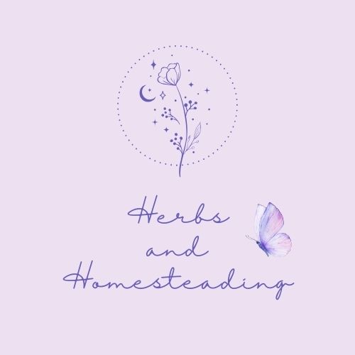 Herbs and Homesteading