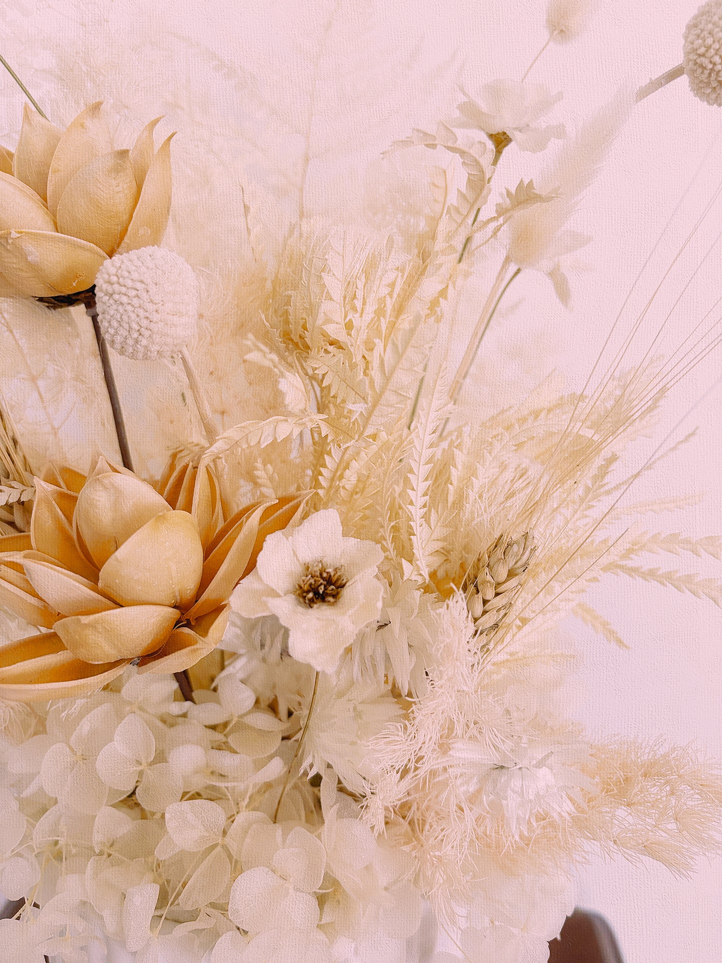 Dried & Everlasting Flowers