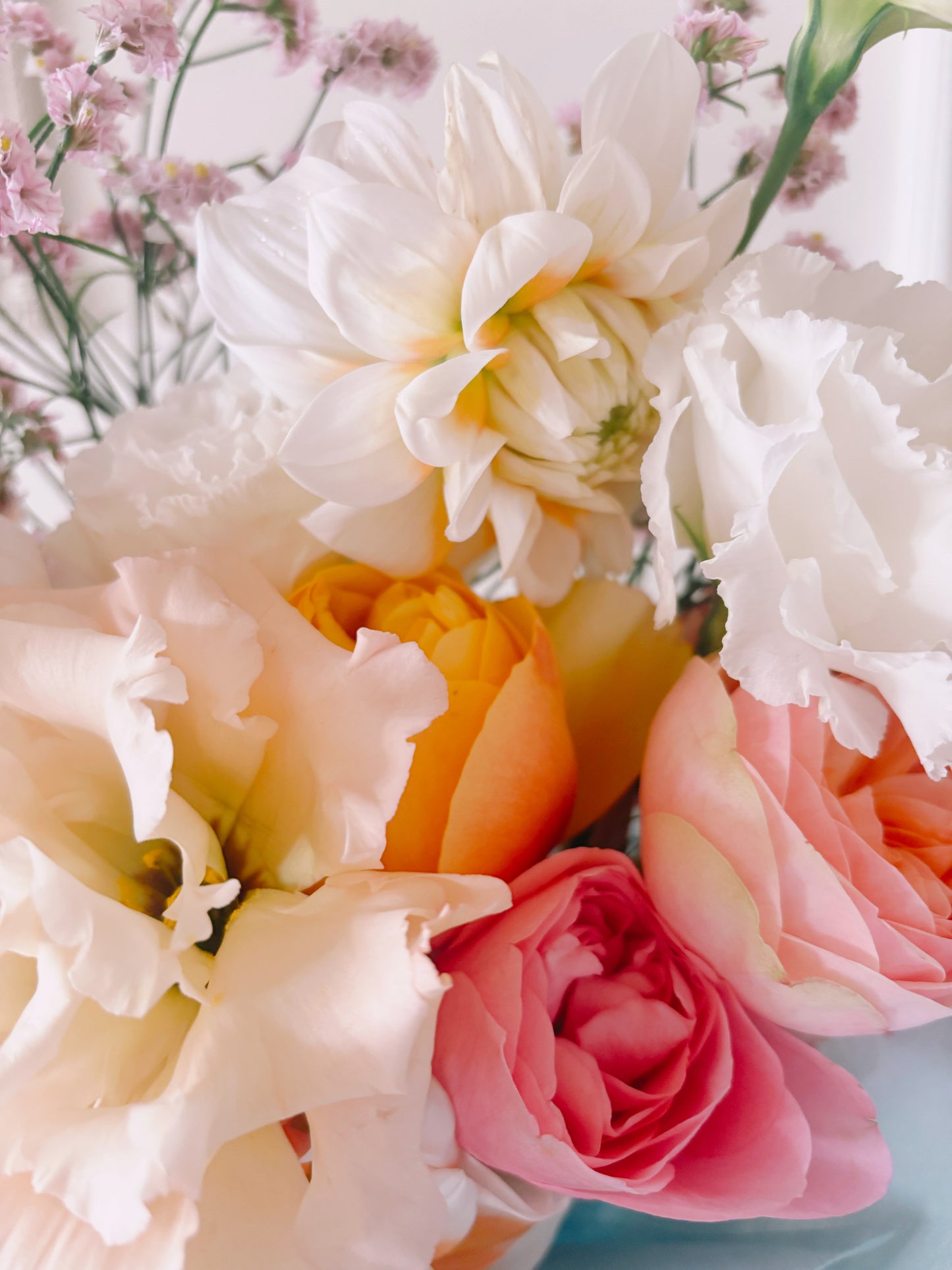The Clementine - Peach and blush